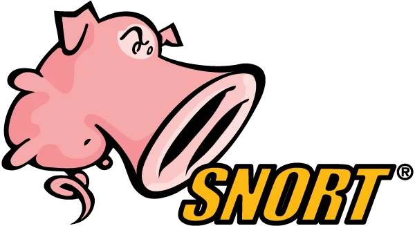 what is snort?