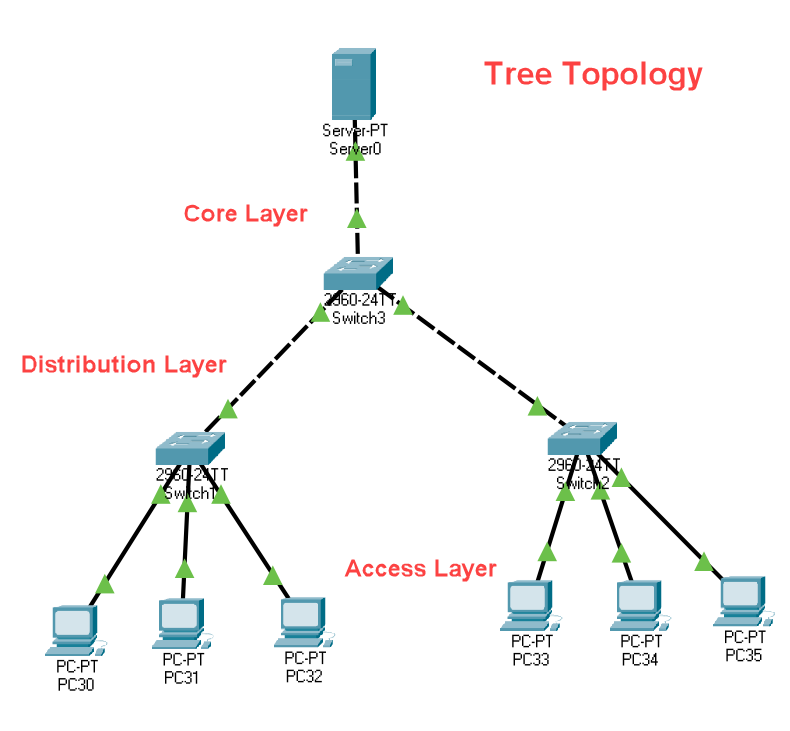 Tree Network Topology