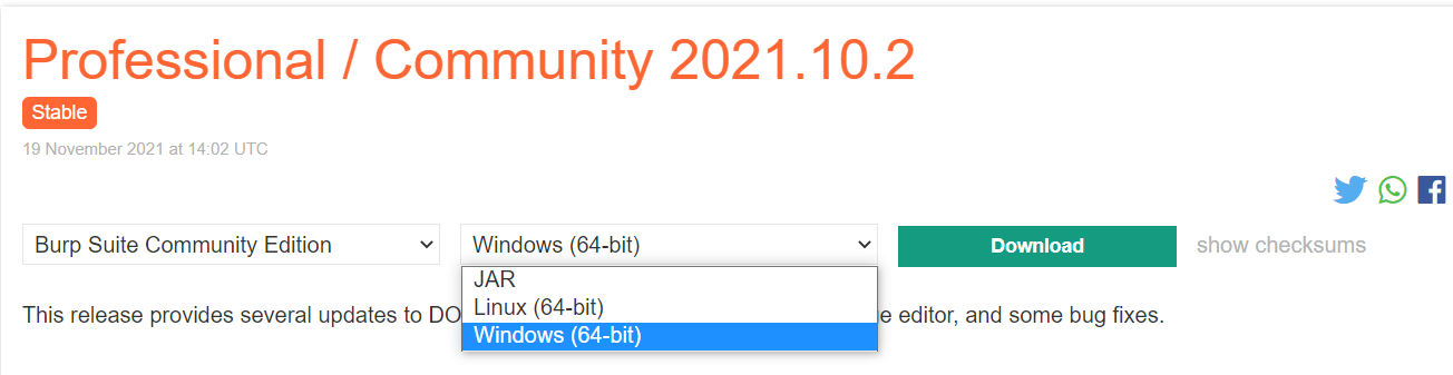 Burp Suite Download