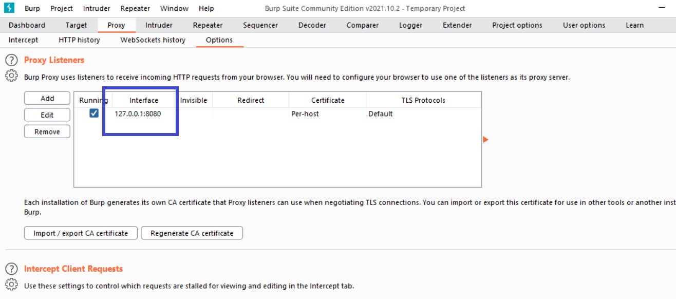 Burp Suite manual configuration