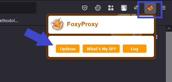FoxyProxy configuration step