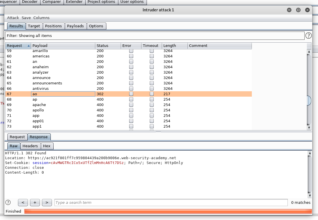 Burp Suite intruder attack