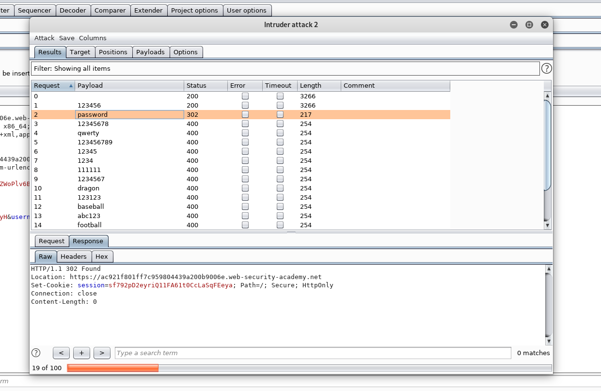 Burp Suite intruder attacks