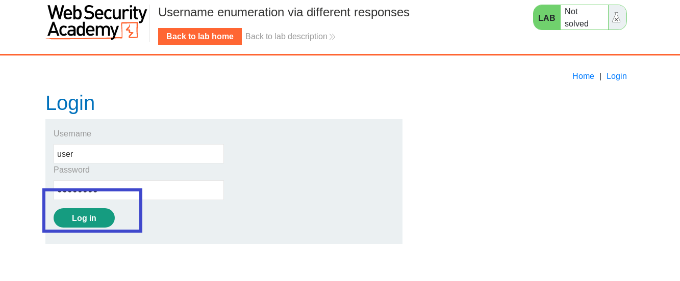 Burp Suite login page