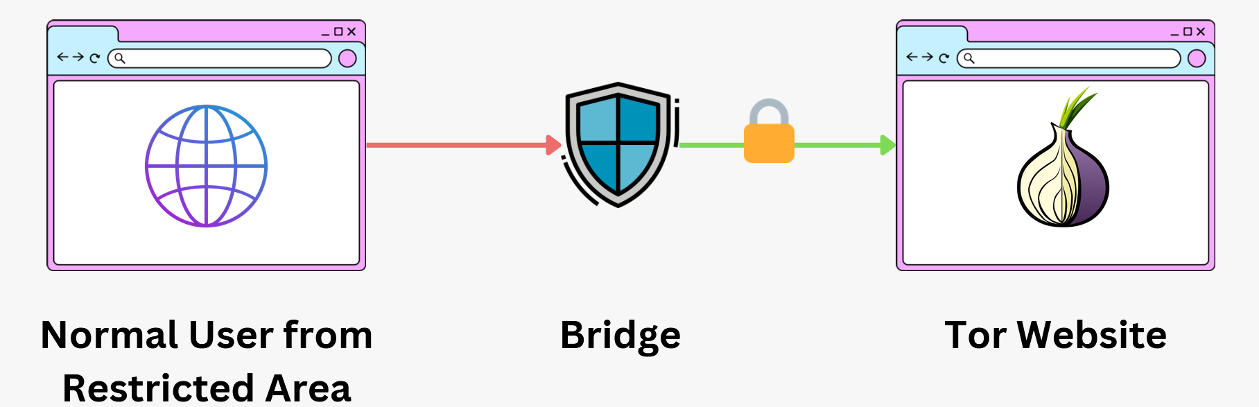 Use of Bridges and Pluggable Transports